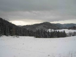 silvestr 2011
